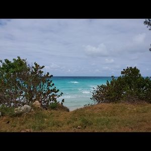 Meet your Posher, Rula